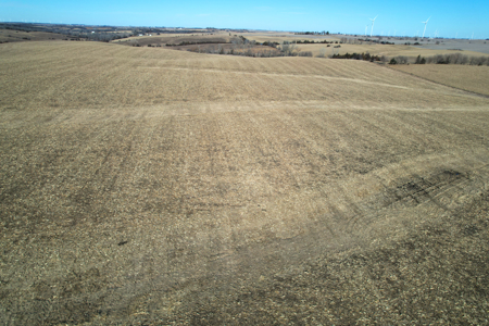 Adams County Iowa Farmland Auction - image 15