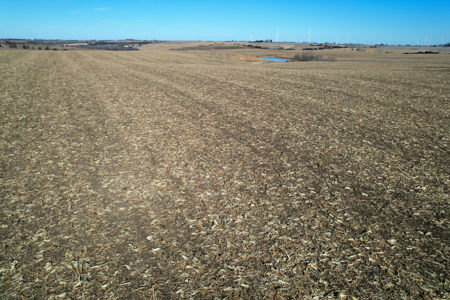 Adams County Iowa Farmland Auction - image 3