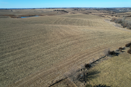 Adams County Iowa Farmland Auction - image 11