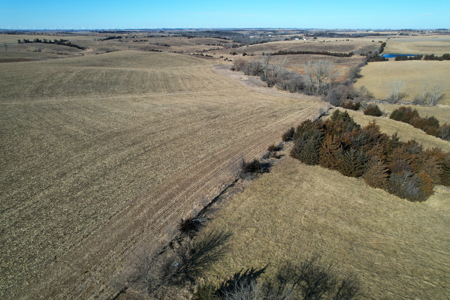 Adams County Iowa Farmland Auction - image 12