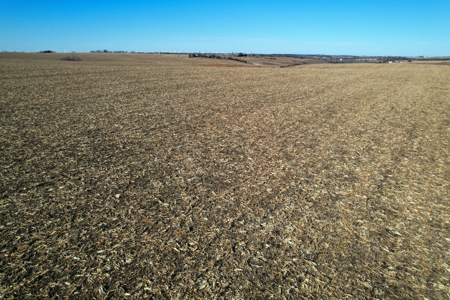 Adams County Iowa Farmland Auction - image 16