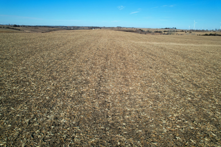 Adams County Iowa Farmland Auction - image 10