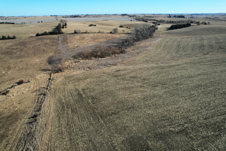 Adams County Iowa Farmland Auction - image 6