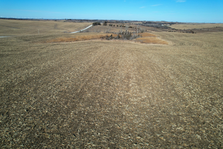 Adams County Iowa Farmland Auction - image 8