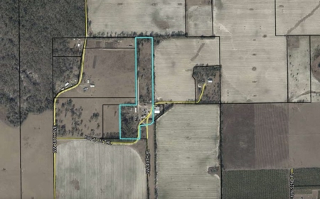 Beautiful 1914 Two-Story Residence In Jennings, FL - image 39