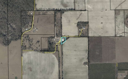 Beautiful 1914 Two-Story Residence In Jennings, FL - image 40