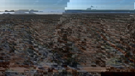 Arizona Land for Sale – Perfect for Custom Homes or Investment - image 11