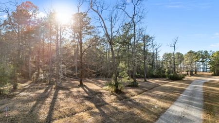 Waterfront Homesite + Bonus Lots in Pungo Creek Estates - image 18