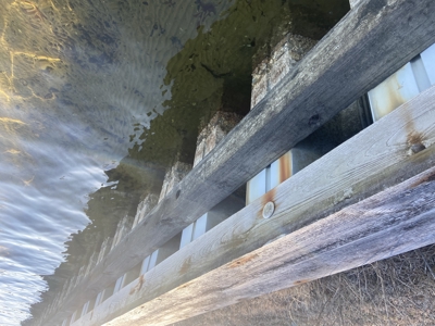 Waterfront Homesite + Bonus Lots in Pungo Creek Estates - image 6