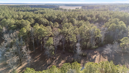 Waterfront Homesite + Bonus Lots in Pungo Creek Estates - image 21