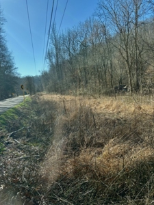 Private 13 Acre Buildable Lot with Spring Fed Creek in Linden, TN - image 9