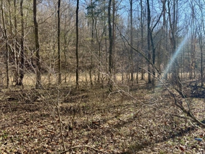 Private 13 Acre Buildable Lot with Spring Fed Creek in Linden, TN - image 8