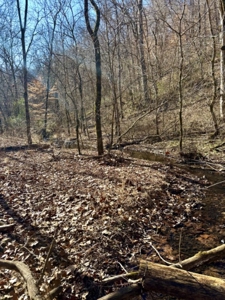 Private 13 Acre Buildable Lot with Spring Fed Creek in Linden, TN - image 6