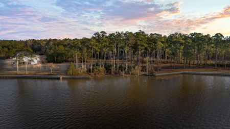 Waterfront Acreage Below Tax Value - Belhaven, NC - image 3