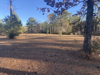 Waterfront Acreage Below Tax Value - Belhaven, NC - image 26