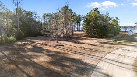 Waterfront Acreage Below Tax Value - Belhaven, NC - image 12
