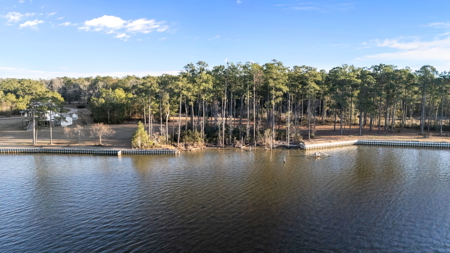 Waterfront Acreage Below Tax Value - Belhaven, NC - image 16