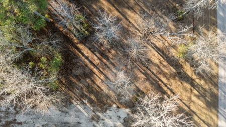 Waterfront Acreage Below Tax Value - Belhaven, NC - image 14