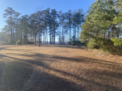 Waterfront Acreage Below Tax Value - Belhaven, NC - image 22