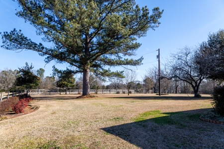 East Texas Ranch for Sale in Lindale TX in Smith County - image 37