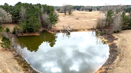East Texas Ranch for Sale in Lindale TX in Smith County - image 10