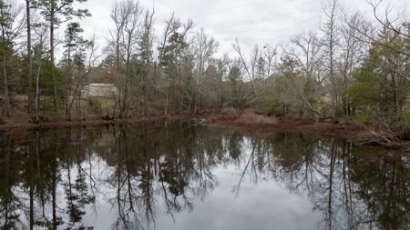 East Texas Ranch for Sale in Lindale TX in Smith County - image 44