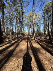 Deep-Water Creekfront Near ICW & Pamlico River - image 6