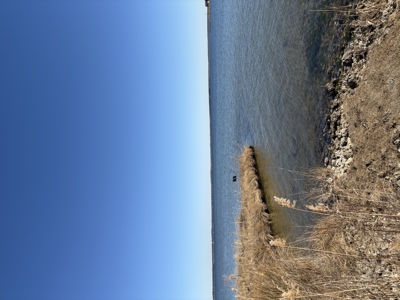 Deep-Water Creekfront Near ICW & Pamlico River - image 12