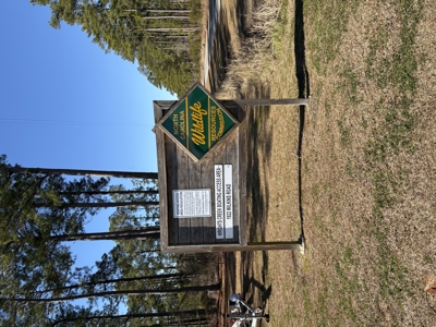 Deep-Water Creekfront Near ICW & Pamlico River - image 16