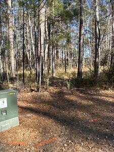 Deep-Water Creekfront Near ICW & Pamlico River - image 11