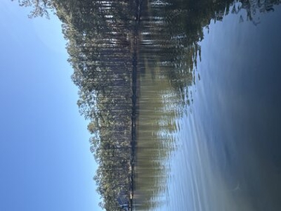 Deep-Water Creekfront Near ICW & Pamlico River - image 3