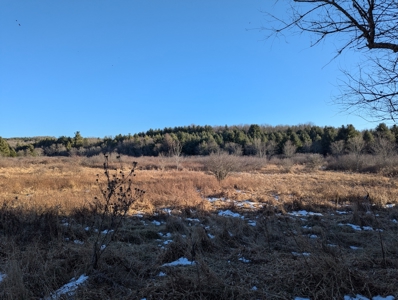 Land for Sale in Willis, Virginia - image 15