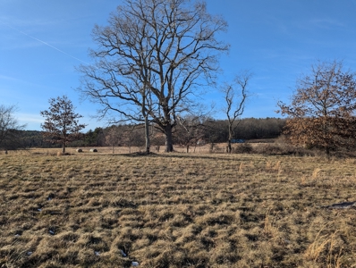 Land for Sale in Willis, Virginia - image 7