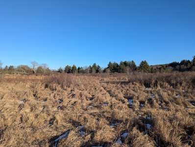 Land for Sale in Willis, Virginia - image 18
