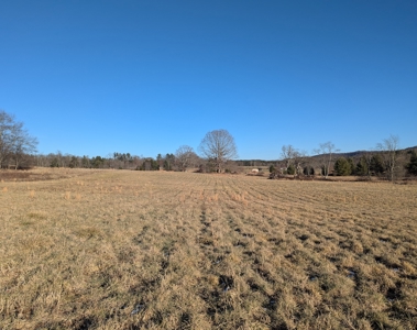 Land for Sale in Willis, Virginia - image 12