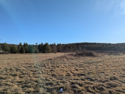 Land for Sale in Willis, Virginia - image 10