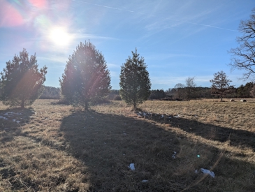 Listing 19