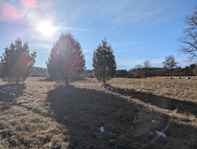 Land for Sale in Willis, Virginia - image 5