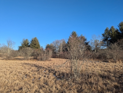 Land for Sale in Willis, Virginia - image 21