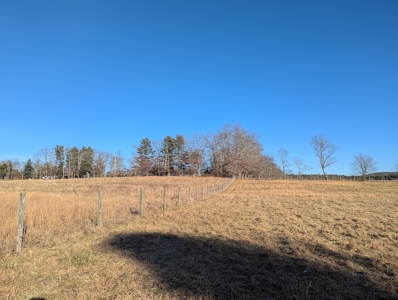 Land for Sale in Willis, Virginia - image 3