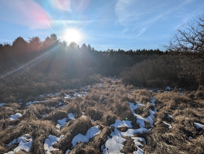 Land for Sale in Willis, Virginia - image 16