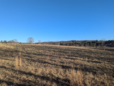 Land for Sale in Willis, Virginia - image 13