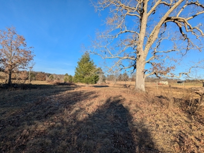 Land for Sale in Willis, Virginia - image 23