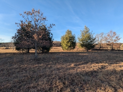 Land for Sale in Willis, Virginia - image 22