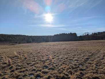 Listing 19