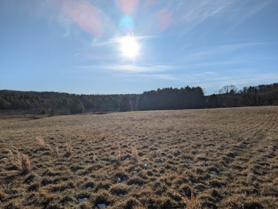 Land for Sale in Willis, Virginia - image 11
