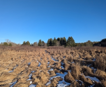 Land for Sale in Willis, Virginia - image 19