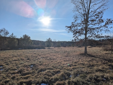 Land for Sale in Willis, Virginia - image 8
