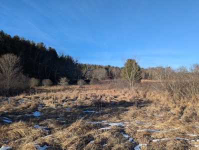 Land for Sale in Willis, Virginia - image 17