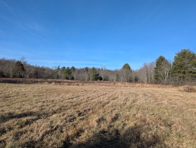 Land for Sale in Willis, Virginia - image 6